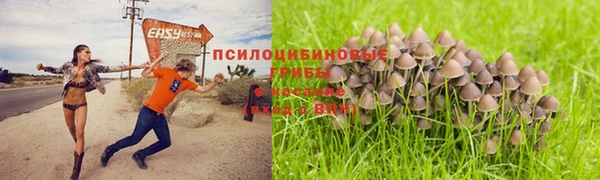 наркотики Вяземский
