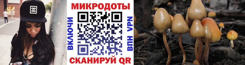 Псилоцибиновые грибы прущие грибы  Ростов-на-Дону 